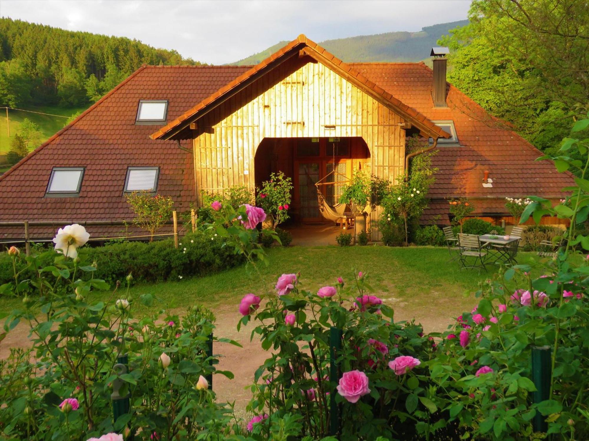 Hernis-Hoefle Elzach Εξωτερικό φωτογραφία
